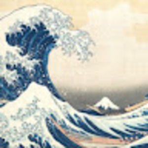 Meet your Posher, Kaylee